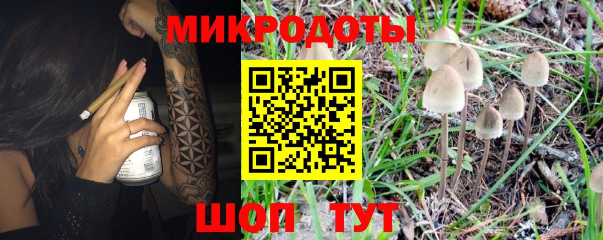 Псилоцибиновые грибы Psilocybine cubensis Черняховск